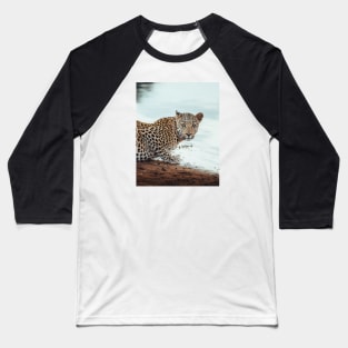 Staring Leopard Baseball T-Shirt